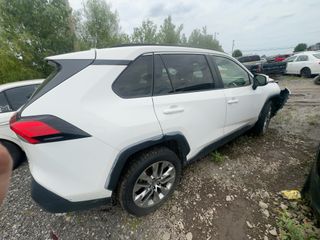 2019 Toyota RAV4 XLE Premium - Exterior Side Passenger